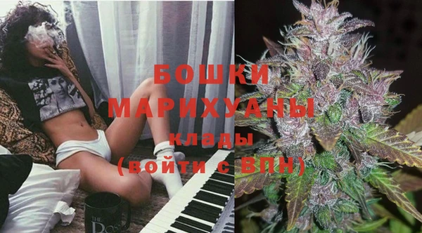 шишки Белокуриха