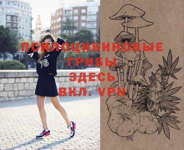 соль курить ск Богданович