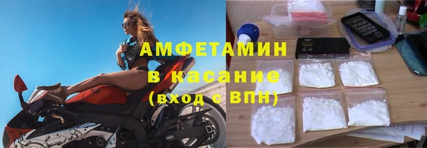 шишки Белокуриха