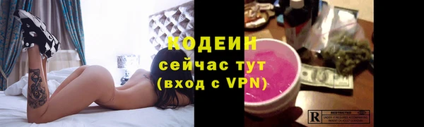 шишки Белокуриха