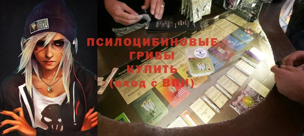 шишки Белокуриха