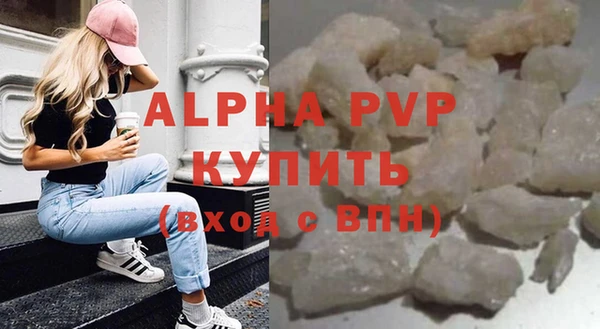 шишки Белокуриха