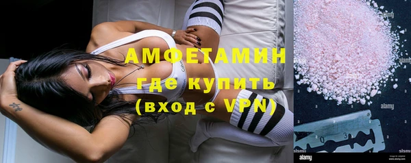 шишки Белокуриха