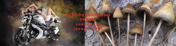 кокс Богородск